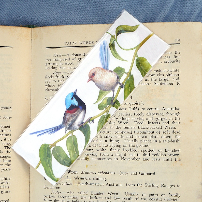 Wren Bookmark canvas bookmark print 2x6in 5x15cm Australian native bird print, variegated fairywren gift, book lover gift, Australiana image 1