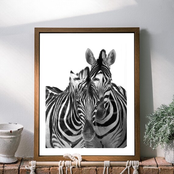 Black and White Zebra Photography - Abstract African Wildlife Art