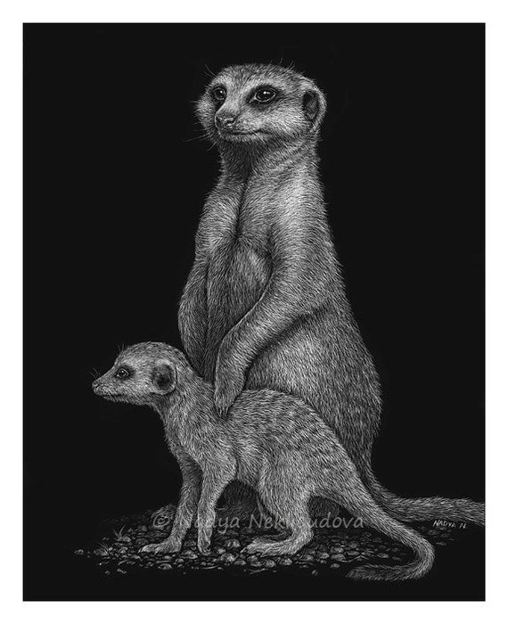 Meerkat Art Print Scratchboard Art African Animals - Etsy Hong Kong Meerkat Art Print Scratchboard Art African Animals - Etsy Hong Kong