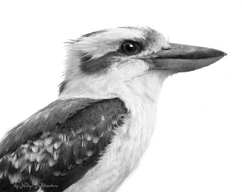 Kookaburra black and white photo - native Australian bird wall art, Australian animal print, wildlife photo, Australiana, Australian gift