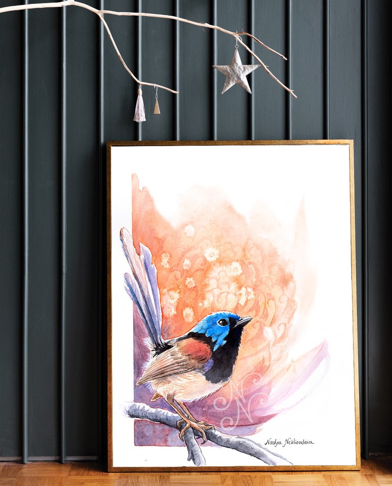 Sunrise Fairy-Wren and Waratah print bright wall art, bird lover gift, Australian native bird print, nature decor watercolour image 4