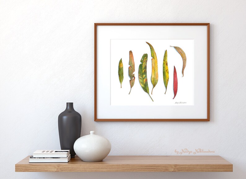 Eucalyptus Leaves botanical art print Australian native plant watercolour print, botanical wall art, gum leaves print, japandi wall art image 4