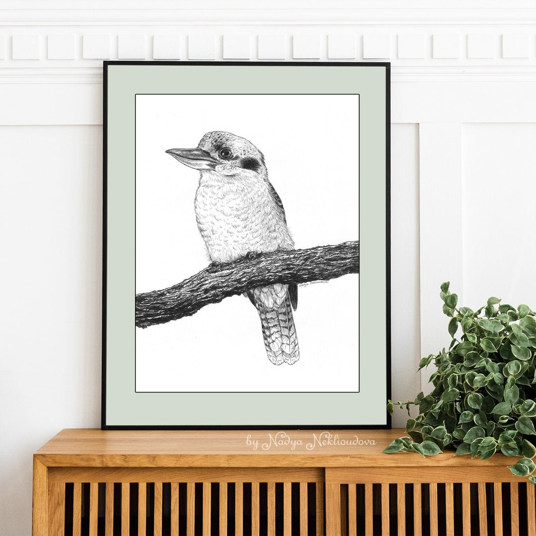 Kookaburra Art Print - Black and White Pen & Ink Giclee - Australian ...