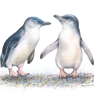 Fairy Penguins art print Australian art, penguin nursery art, penguin print, Australian native penguin, bird wildlife art, nature wall art image 1