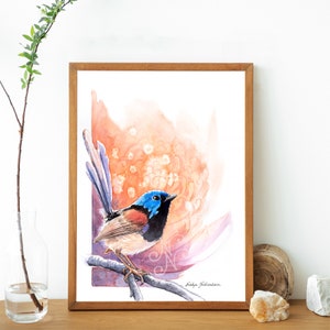 Sunrise Fairy-Wren and Waratah print bright wall art, bird lover gift, Australian native bird print, nature decor watercolour image 2