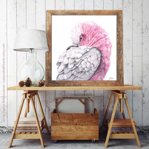 Galah pink and grey wall art Australian cockatoo print, pink bird painting, parrot print, Australian seller, pink cockatoo art print image 3