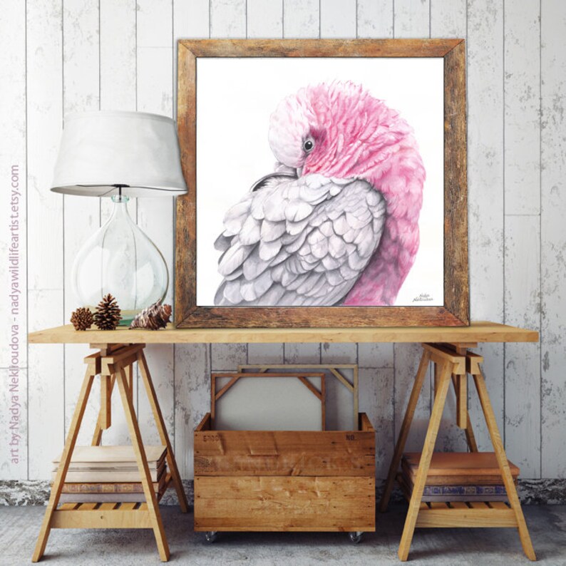 Galah pink and grey wall art Australian cockatoo print, pink bird painting, parrot print, Australian seller, pink cockatoo art print image 3