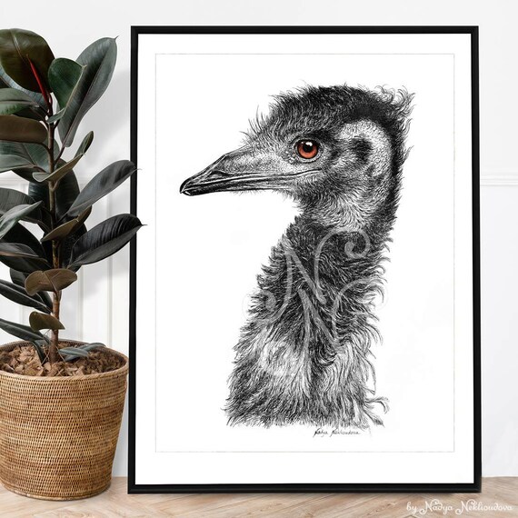 Emu Pen and Ink Art Print – Australian Wildlife Drawing for Office