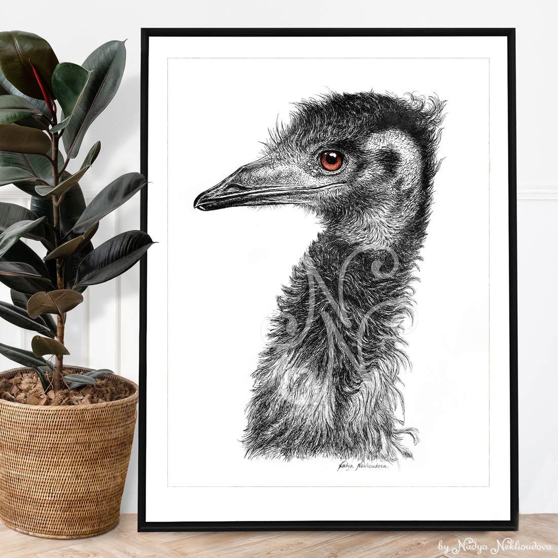 Emu Art Print - Black and White Pen & Ink Drawing, Dramatic