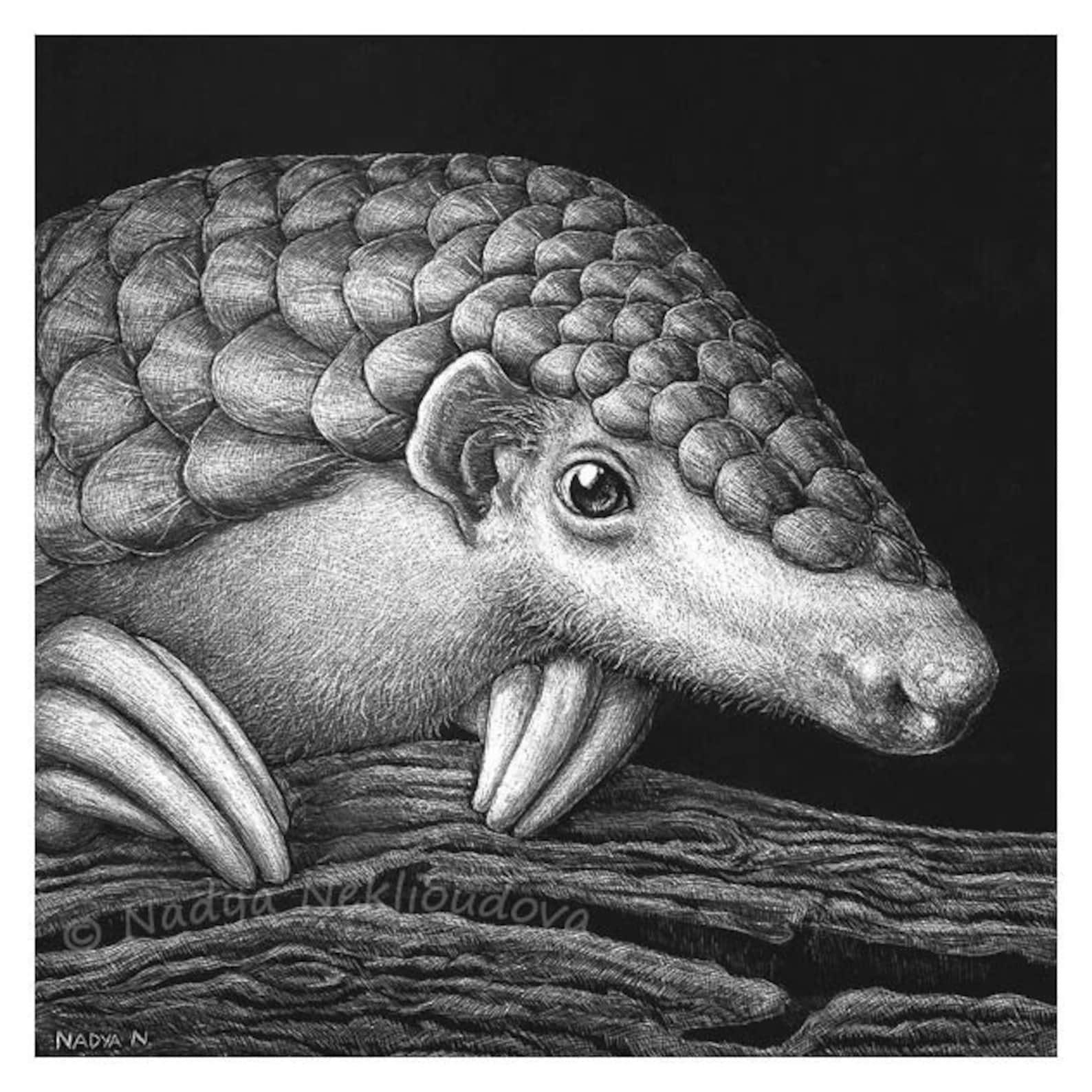 Pangolin print endangered species animal wall art pangolin | Etsy