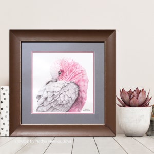 Galah pink and grey wall art Australian cockatoo print, pink bird painting, parrot print, Australian seller, pink cockatoo art print image 2