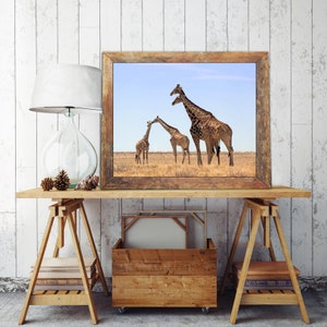 Giraffe Family photo print African wildlife photography, giraffe art, giraffe baby shower, African safari animals, giraffe nursery art image 3