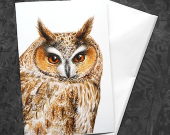 Owl Greeting Card - 5x7 inch card with envelope, blank inside, woodland bird owl art, owl card, blank card, all occasion card, owl art card