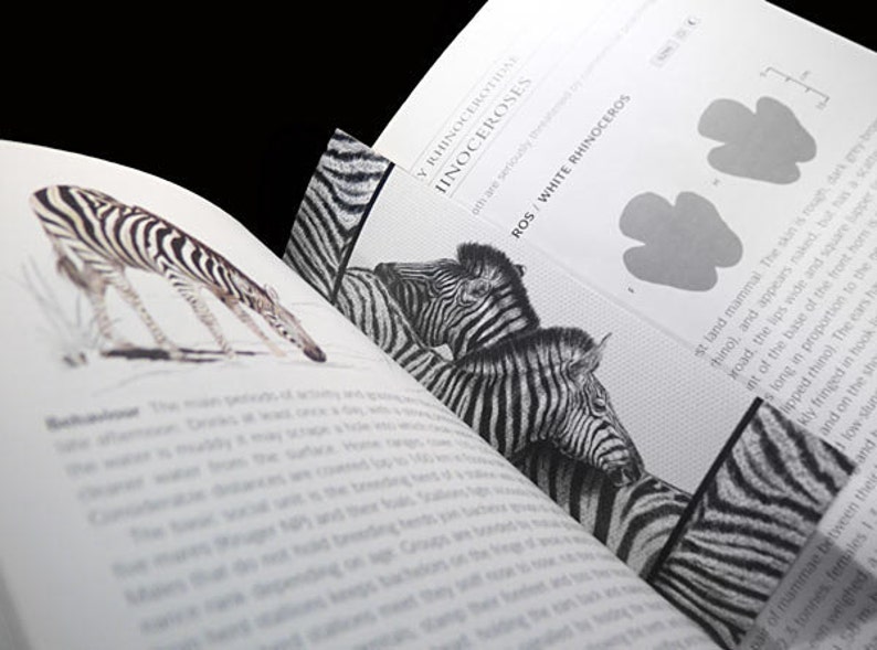 Art Bookmark Zebra Love canvas printed bookmark 2x6 inches 5x15cm African safari animal zebra print image 3