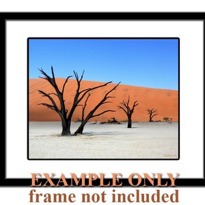 The Silent Desert photo print surreal photography of African landscape, Namibia, African tree, desert wall art, sand dunes photography image 2