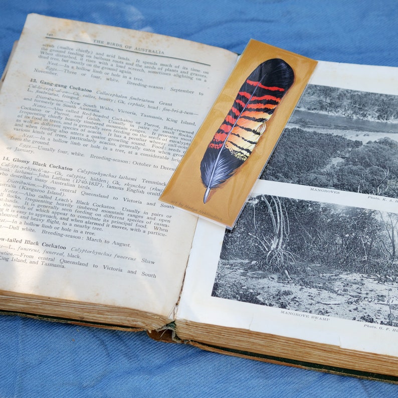 Black Cockatoo Feather Bookmark canvas bookmark 2x6in 5x15cm cockatoo print, book lover gift, Australian native bird, Australiana image 3