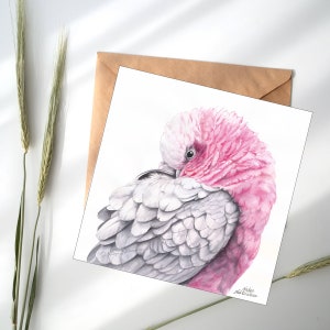 Galah Greeting Card - 5x5 inch card with envelope, blank inside. Cockatoo art card, parrot card, galah card, pink bird card