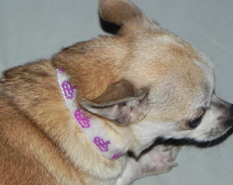 Little Princess Dog Collar - Small