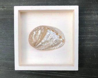 Framed Pearlized Abalone Shell, Beach Decor, Wall Hanging, Vacation Home Coastal Decor, Seashell Art, Beach House Vintage Coastal Beach Gift