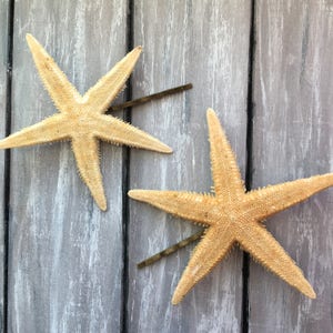 Beach Bridal Knobby Starfish Hair Pin, Mermaid Hair, Wedding Hair, Ariel, Wedding, Destination Wedding Bridal Hair Beach Wedding Bridesmaids