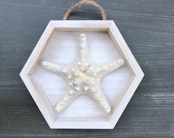 Framed Knobby Starfish, Beach Decor, Wall Hanging, Vacation Home, Coastal Decor, Seashell Art, Beach House, Beach Gift, Destination Wedding