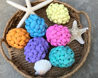 6 Easter Egg Seashells, Beach House, Beach Decor, Coastal Decor, Wall Decor, Easter Decor, Easter Brunch Egg Hunt, Seashell Eggs