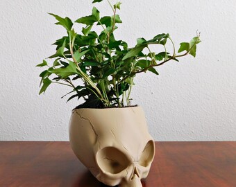 Multi-use Alien Skull Bowl/Planter