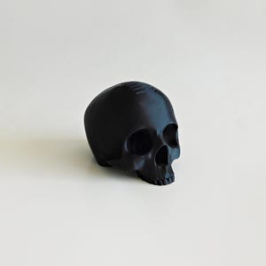 Skull Guitar Pick Holder 3D Print image 18