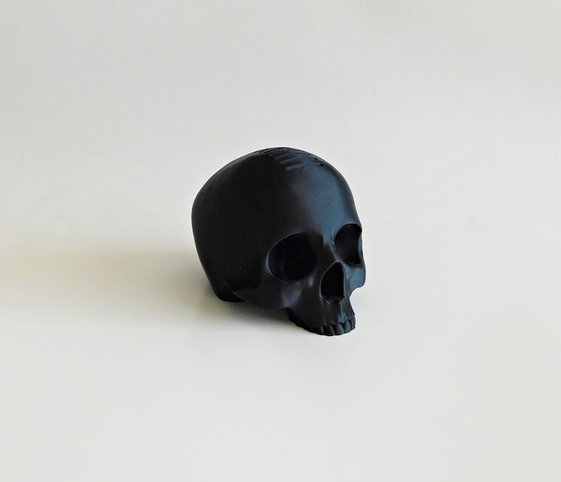 Skull Guitar Pick Holder 3D Print image 18