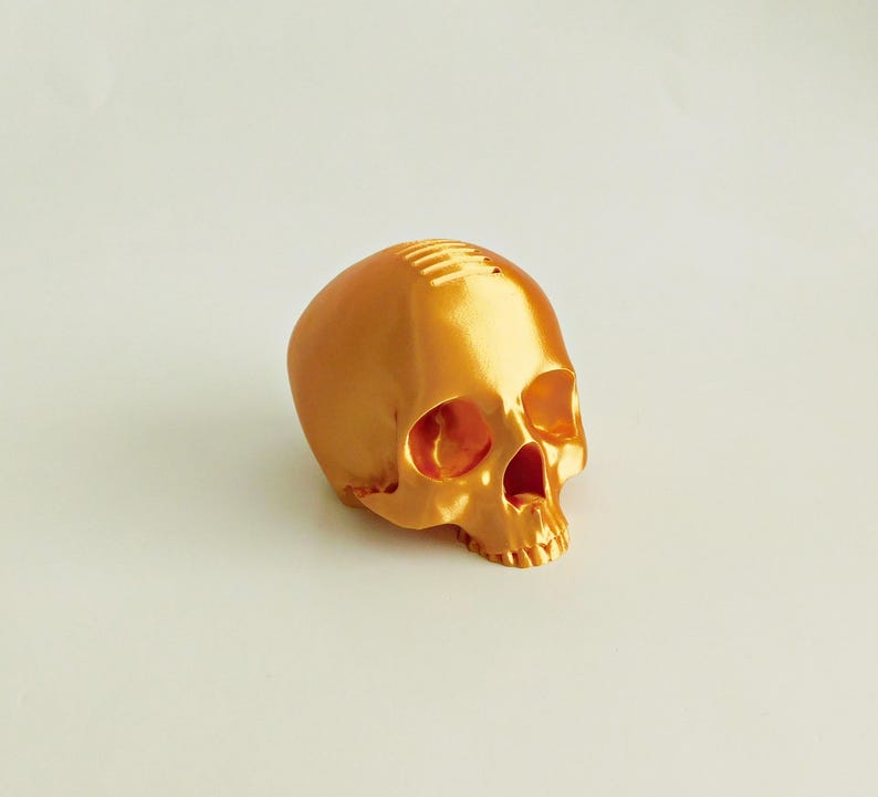 Skull Guitar Pick Holder 3D Print Gold