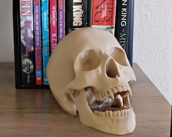 Vampire Skull Sculpture – 3D Printed Gothic Bookshelf Accent