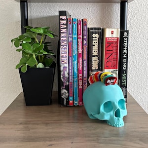 Skull Guitar Pick Holder 3D Print Matte Teal
