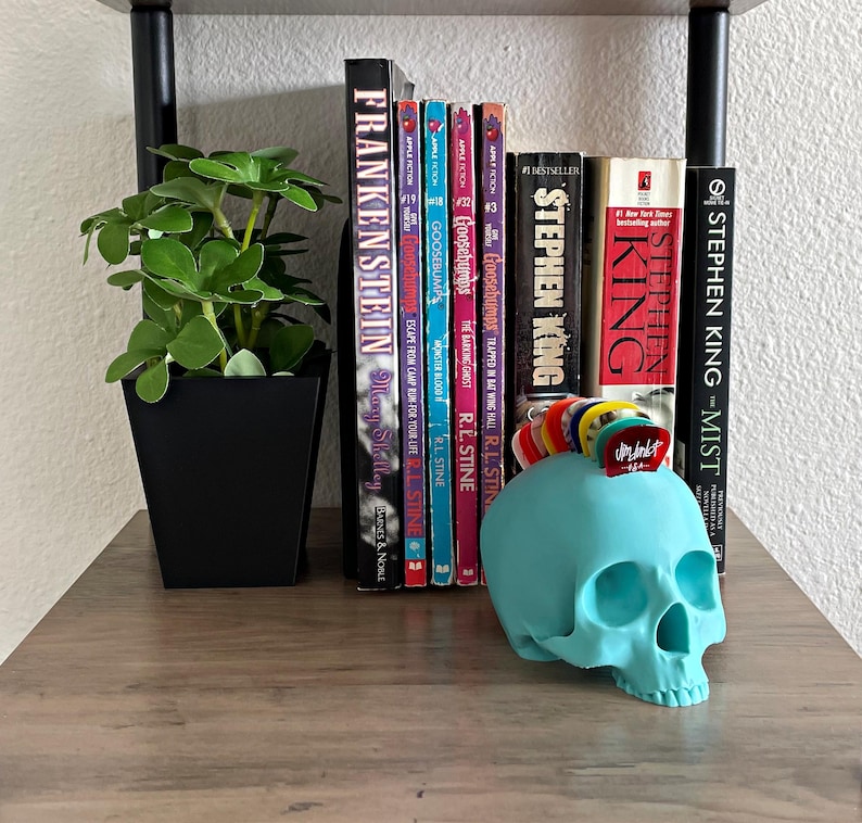 Skull Guitar Pick Holder 3D Print Matte Teal