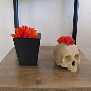 Skull Guitar Pick Holder 3D Print image 2