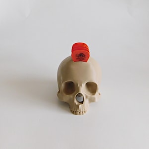 Skull Guitar Pick Holder 3D Print image 16