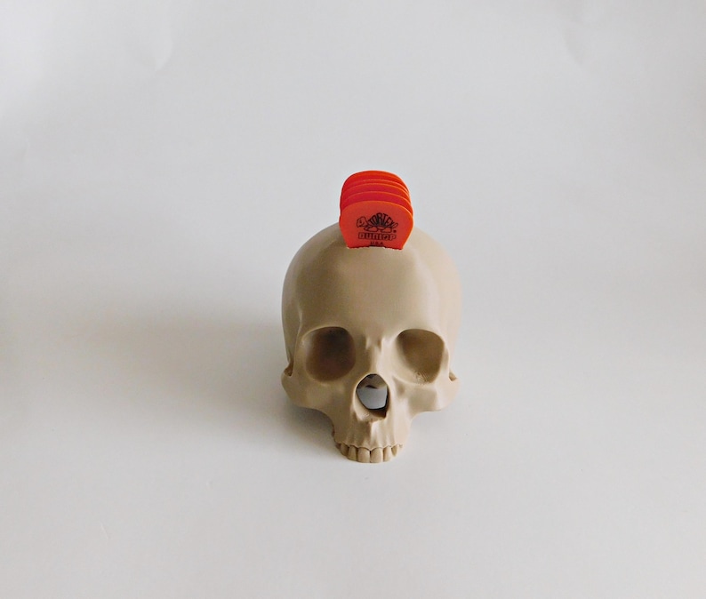 Skull Guitar Pick Holder 3D Print image 16