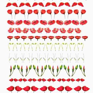 Overglaze Red Poppy Flowers, Ceramic and Enamel Decals, Full Sheet Glass Fusing & Waterslide Decal - 1005