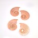 563# Shell Copper blank - 24Gauge, Solid 