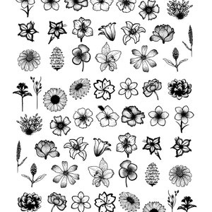 Könnte beinhalten: Eine detaillierte Schwarz-Weiß-Illustration mit verschiedenen Blumen, darunter Gänseblümchen, Lilien und Hibiskus. Die Zeichnungen zeigen filigrane Linienarbeit und Schattierungen, die ein botanisches Thema erzeugen.