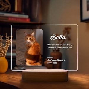 Personalized Pet Memorial Night Light, Custom Pet Plaque and Photo, Pet Memorial Frame, Gifts for Pets, Cat & Dog Loss Gift