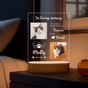 Pet Remembrance Gift, Pet Loss Gifts, Pet Memorial Lamp, Pet Bereavement Gift, Pet Sympathy Gift, Dog Memorial, In Loving Memory, Pet print