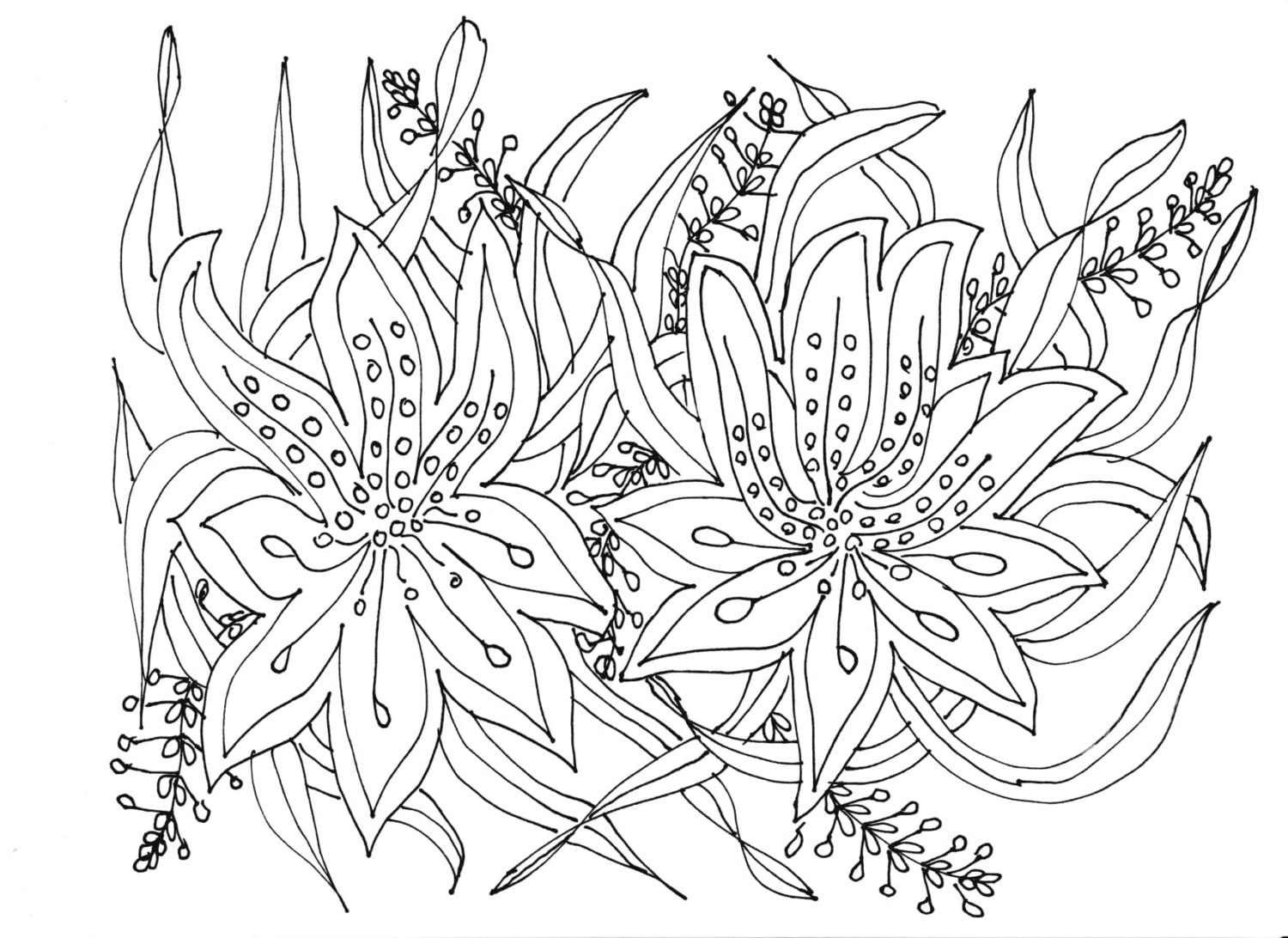 Adult Coloring Pages Flowers, Plants, Garden