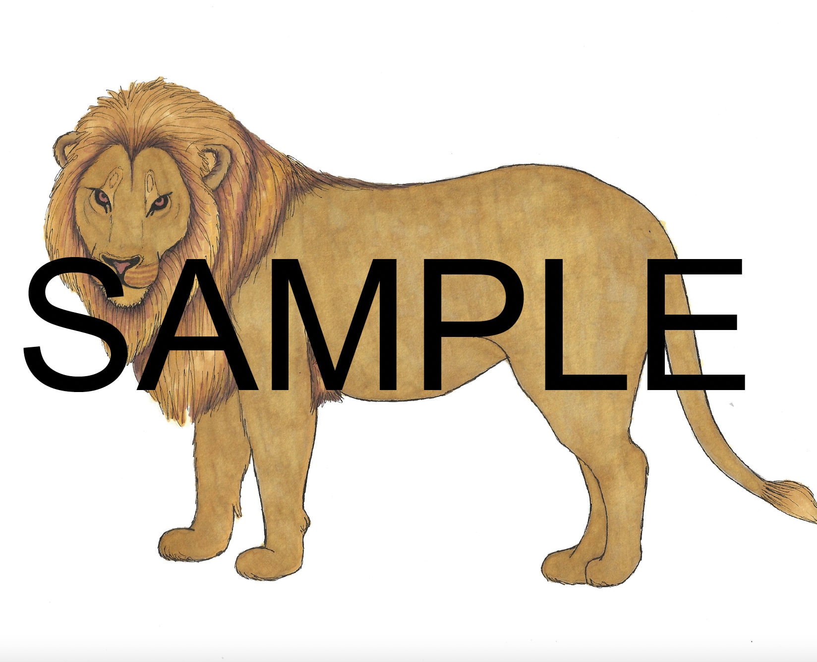 Paper Doll Printable | CHRONICLES OF NARNIA | the Lion the Witch and ...
