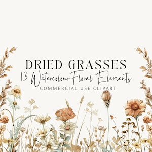 Pack de cliparts herbes séchées, bordures et couronnes, aquarelle, fleurs de mariage, faire-part, fond transparent, PNG