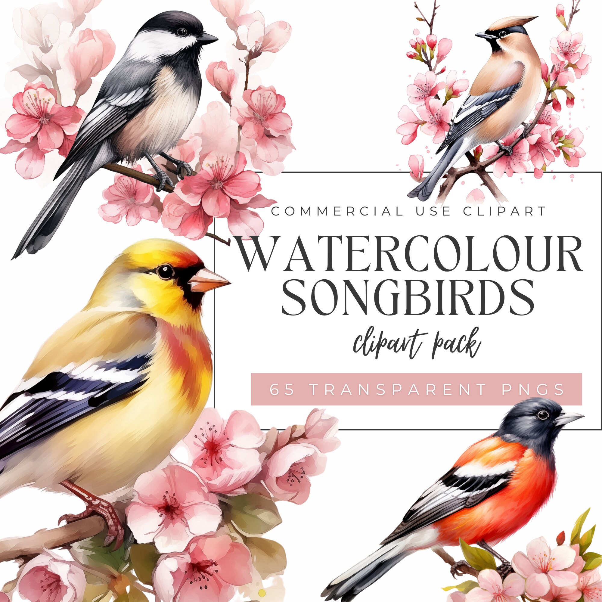 Watercolour Songbirds Clipart Pack, Watercolour, Junk Journal Art, Invitations, Transparent Background, PNG