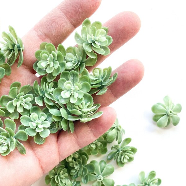 Fake succulents - 28 Artificial Mini Succulents in Frosted Green - Succulent, Succulents, Artificial Flowers - ITEM 0955