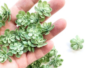 Fake succulents - 28 Artificial Mini Succulents in Frosted Green - Succulent, Succulents, Artificial Flowers - ITEM 0955