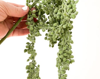 Artificial String of Pearl in Frosted Green - Faux String of Pearls- Artificial Succulent - ITEM 0843