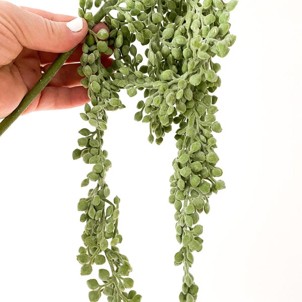 Artificial String of Pearl in Frosted Green - Faux String of Pearls- Artificial Succulent - ITEM 0843