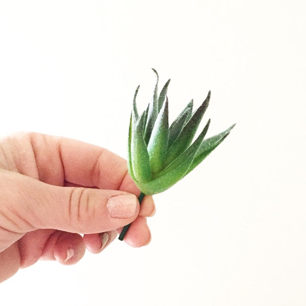 Mini Artificial Frosted Succulent in Green and Purple- Fake Plant, Air plant, Fake Succulent, Faux Succulent - ITEM 01469